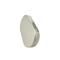 Boîtier vide de luxe ovale argenté à 2 compartiments pour correcteur, fard à paupières, blush, avec pinceau, emballage cosmétique recyclable et écologique