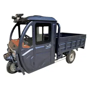 1500W Power Steering Wheel Luxury Interior Electric Auto Rickshaw Semi-Closed Cargo Electric Tricycle
