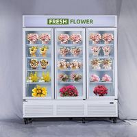 Vitrine Réfrigérée Commerciale Monotempérature en Acier Inoxydable avec Porte Vitrée, Éclairage LED, Sans Givre
