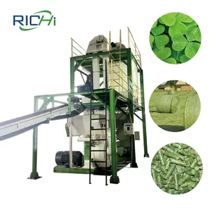 RICHI Manufacture Supplier 1-10 TPH CE Sugar Cane Bagasse Pellet Production Line For Fuels Energy Plant