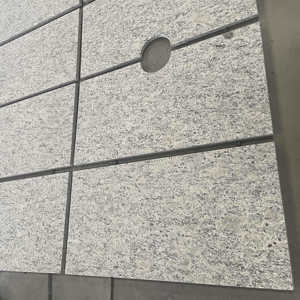 Santa <span class=keywords><strong>Cecilia</strong></span> Light Tops Color granit amarilo price dosseret granit - Product Image 5