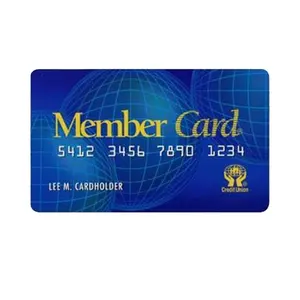 Customize Offset Printing Blank Magnetic Stripe Member VIP Gift PVC Card with Embossed Number