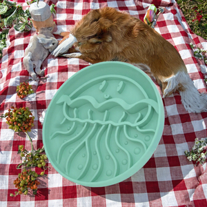 Round Silicone Dog <b>Slow</b> <b>Feeder</b> <b>Bowl</b> Cute Puzzle Pet Dish Eco Friendly Suction Cup - Product Image 2