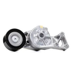 Poulie de courroie de pièces de haute qualité 038903315AE 038903315F 1122523 1376631 Poulie de tendeur VKM31019 pour AUDI FORD SEAT SKODA - Product Image 1