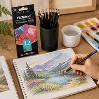 FLOWood – Crayons de couleur professionnels 12 couleurs, crayons de couleur personnalisés pour enfants, artistes, peinture, dessin, papeterie, vente en gros