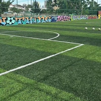 Gazon artificiel en polyéthylène de 50 mm, surface de terrain de football imperméable, découpée sur mesure