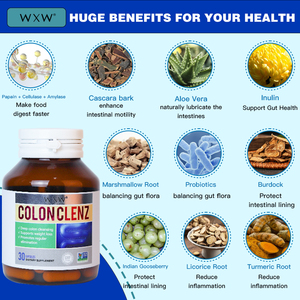 Wxw trong kho chiết xuất tự nhiên Đại tràng làm sạch viên nang trong kho tiêu hóa làm sạch viên nang cai nghiện bổ sung viên nang - Product Image 4