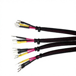 Motosiklet Otomobil Elektronik Uygulamaları için U-şekilli Terminal Bağlantı Hattı PTFE/Naylon - Özelleştirilmiş Kablo Demeti - Product Image 1