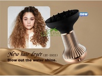 Sèche-cheveux universel avec diffuseur Wind Spin Curl