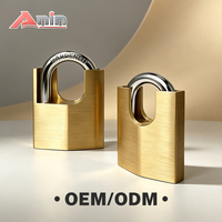 Cadenas Anin personnalisable en laiton semi-caché 50mm 60mm avec double levier de verrouillage et anse renforcée de type D pour entrepôt et stockage