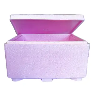 EPP foam lightweight insulation non-toxic waterproof bee Hive box