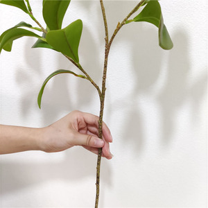 ขายส่ง<span class=keywords><strong>แพงพวย</strong></span>ประดิษฐ์ใบพืชสีเขียวพืชเทียมตกแต่ง - Product Image 5