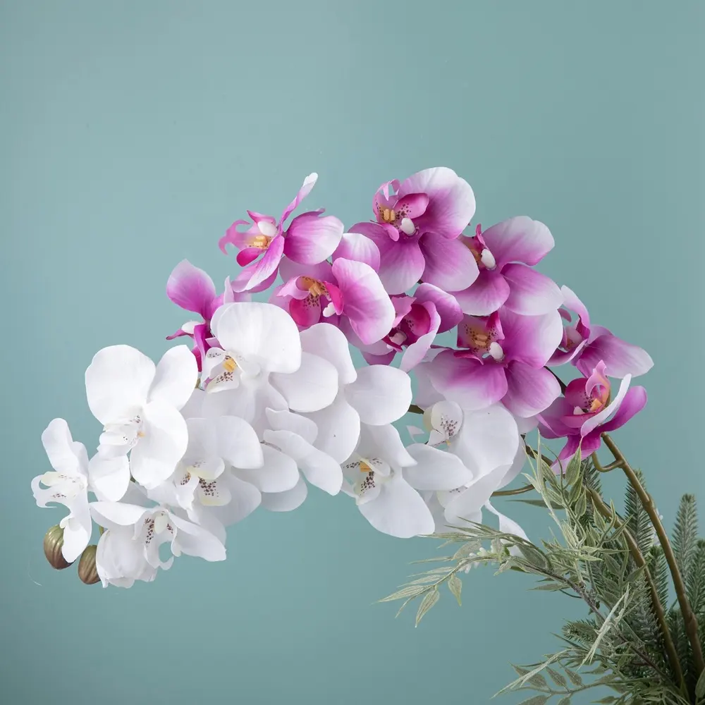 11 teste bianco artificiale Phalaenopsis fiore vero tocco farfalla orchidea fiore orchidee in lattice per la casa matrimonio