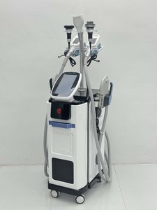 Macchina Verticale 40k RF per Dimagrimento, Criolipolisi 360°, Rimozione del Grasso, Modellamento EMS, Apparecchio per Snellimento Corporeo Cryo - Product Image 5