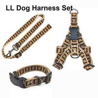 Ensemble de laisse de sécurité pour chien, 2,5 cm de large, 148 cm de long, réglable, en polyester et plastique, harnais tendance facile à enfiler