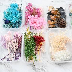Flor seca DIY Materiales florales Flor eterna Artesanía Decoración para fiesta de boda <span class=keywords><strong>Curso</strong></span> de arte floral Paquete de material artificial - Product Image 2