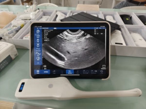 Ecógrafo Veterinario Portátil DMU92, Ginecología/Endovaginal, Wifi, Inalámbrico, Escáner Transvaginal para Humanos/Veterinarios - Product Image 5