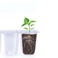 Kit de Germination de Semences pour Jardinage – Lot de 10 Barquettes de Semis en Plastique – Plateaux de Démarrage pour Jeunes Pousses – Kit de Culture en Serre GreenGrow