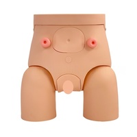 Modelo de demostración de entrenamiento de cateterismo masculino y femenino de entrenamiento médico-Ideal para Educación de enfermería