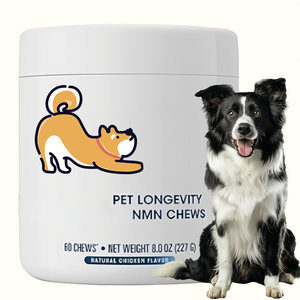 OEM Advanced Natural Pet NMN Chews para Longevidad, Soporte Antienvejecimiento, Reparación Celular, Producción de Energía para el Bienestar de Perros y Gatos - Product Image 6