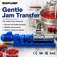 Pompe à cavité progressive mini micro mono boue hélicoïdale en acier inoxydable pompe à vis unique pour mélasse