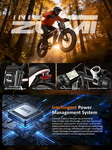 Vélo Électrique Rétro Style Cyclomoteur avec Logo Personnalisé, Pneus Larges 20x4.0, Phare Géant, 48V 250W 750W, pour Adultes – Disponible depuis nos entrepôts UE et US - Product Image 2