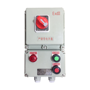 Disjoncteur antidéflagrant IP65 IIB IIC, équipement de contrôle d'usine personnalisé, interrupteur industriel pour navires océaniques - Product Image 5