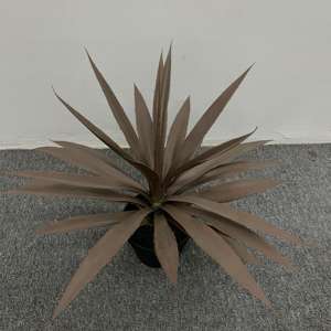 2025 nouvelle plante de serpent artificielle verte ont une <span class=keywords><strong>tige</strong></span> de <span class=keywords><strong>bambou</strong></span> en feuille de plastique pour la maison hôtel jardin intérieur extérieur décoration - Product Image 3