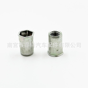 Shuangxuan M8 <b>Rivet</b> <b>Nut</b> 17mm Steel Hexagonal Through Hole Auto Fastener - Product Image 3