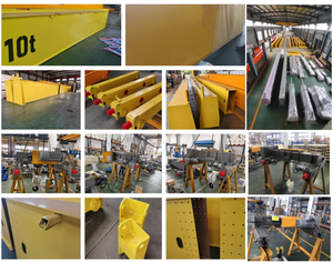 Gru a Ponte Monotrave a Frequenza Variabile con Paranco per Cantiere Edile - Product Image 2