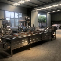 Blaasreinigingsmachine voor blauwe bessen en aardbeien, groente- en fruitdroog- en reinigingsmachine