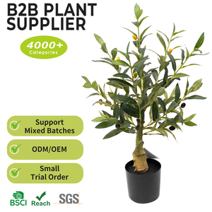 Arbre d'<span class=keywords><strong>olivier</strong></span> artificiel en gros, 60 cm, mini-plante en soie avec tige en bois pour décoration de table à manger, plantes d'intérieur - Product Image 2