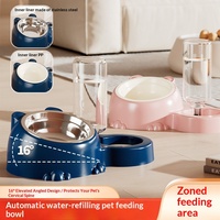 Fournitures pour animaux de compagnie, distributeur d'eau automatique à double bol en acier inoxydable, bols à nourriture et à eau de grande capacité pour chats et chiens, Chaozhou