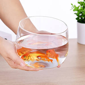 Décor à la maison Aquaponics plante <span class=keywords><strong>Terrarium</strong></span> aquarium clair hydroponique verre fait à la main noël moderne verre Vase fleurs en verre - Product Image 2