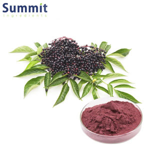 Vente en gros extrait de fruit de personne âgée 20/1 poudre d'extrait de personne âgée - Product Image 2