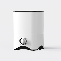 Aromathérapie industrielle de remplissage supérieur de bon prix avec le diffuseur d'huile essentielle d'humidificateur d'air de brume fraîche d'ion négatif de filtre à eau