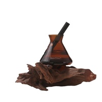 Diffuseur d'arômes sans flamme en verre avec bâtonnets en fibre de rotin, pour hôtel et maison, rafraîchisseur d'air, 30-60 jours, modèle XXP-RY