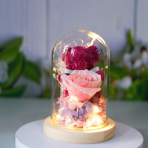 TC Hot <strong>Sale</strong> Eternal <strong>Rose</strong> Flower in LED Glass Dome Valentine Mother's Day New Design Gift Preserved <strong>Moss</strong> Bear <strong>Rose</strong> Bouquet Gift - Product Image 1