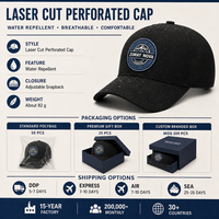 Casquette de baseball noire personnalisée, maille perforée découpée au laser, imperméable, visière incurvée, réglable, snapback, chapeau de sport, vente en gros, OEM, faible MOQ