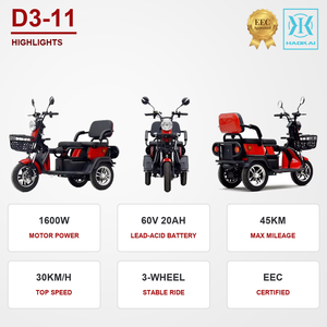 <span class=keywords><strong>Tricycle</strong></span> électrique, scooter à 3 roues, moteur EEC 1600W, batterie au plomb-acide 60V 20Ah, autonomie de 45 km, vitesse de 30 km/h, pour adultes, vente en gros - Product Image 4