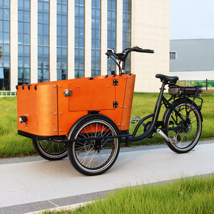 Nouveau vélo cargo électrique à 3 roues, best-seller, avec <span class=keywords><strong>porte</strong></span> latérale, pour usage familial, vélo hollandais pour transporter des enfants et des animaux de compagnie - Product Image 2