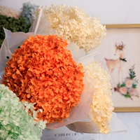 Kelopak Bunga Hydrangea Kering Berkualitas Tinggi Hflora, Cabang Panjang, Bunga Asli Tahan Lama, Asal Yunnan, 20-25cm, Awet
