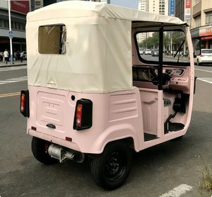 EEC COC Tows E <strong>Trike</strong> Passenger EEC Electric Passenger Tricycle Sightseeing Vehicle - Product Image 4