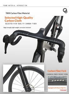 Bicicleta de Carretera Profesional de 12 Velocidades, de Fibra de Carbono, Cuadro Aerodinámico, Frenos de Disco, Diseño Ligero para Ciclistas Adultos Zxc-262 12-sp - Product Image 4