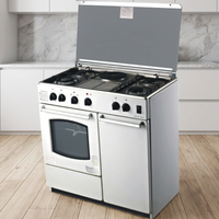 Fourneau à gaz naturel monobloc 52L en acier inoxydable avec thermostat, mixte gaz-électricité, grill domestique traditionnel 6 brûleurs