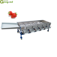 Genyond Citroen Sinaasappel Kersen Bosbessennoot Sorteren Fruitmachine Vruchten Dadel Palm Pitting Sortering Fruit Machines