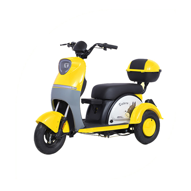 Paige Electric Tricycle Enclosed for Adults Motorized Trike Van Cargo Aqua Cycle Collection Bicycle 3 Wheel Adult