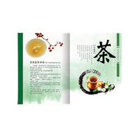 2025 gros pas cher conception personnalisée catalogue/brochure/livret/impression de prospectus