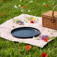 Service de table en céramique classique gris simple Guangda |   Assiettes et tasses en grès |   Compatible four/micro-ondes/lave-vaisselle |   Conception écologique