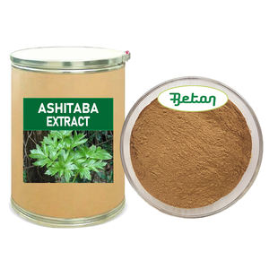 Natuurlijke Gezondheid 10:1 Ashitaba Bladerenextract Poeder <span class=keywords><strong>Angelica</strong></span> <span class=keywords><strong>Keiskei</strong></span> Plantenextract Poeder Tomorrow Bladerenpoeder - Product Image 1